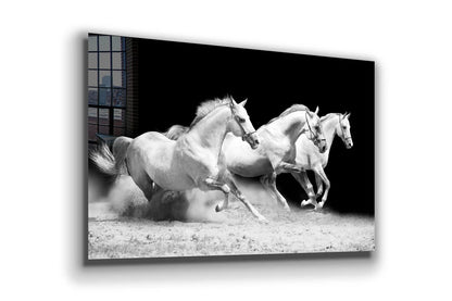 Running Horses B&W View Print Tempered Glass Wall Art 100% Made in Australia Ready to Hang