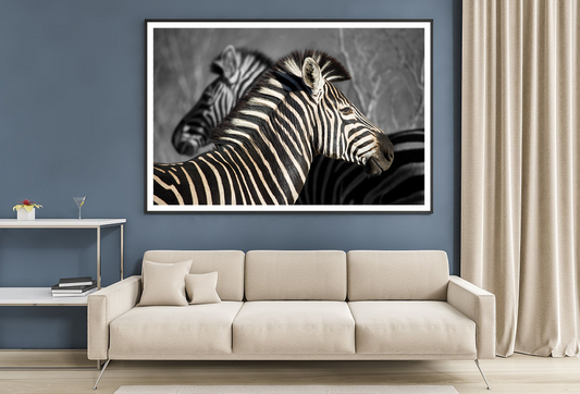 B&W Zebra in Forest View Photograph Home Decor Premium Quality Poster Print Choose Your Sizes