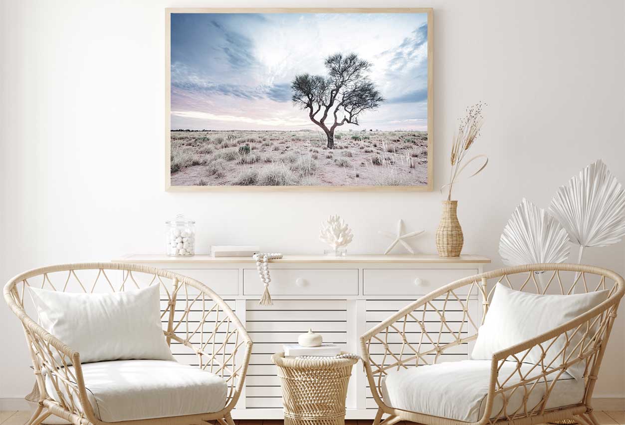 Alone Hakea Tree View Photograph Home Decor Premium Quality Poster Print Choose Your Sizes