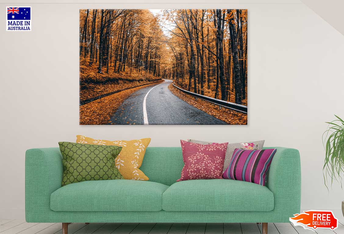 Orange Autumn Trees & Road View Photograph Print 100% Australian Made