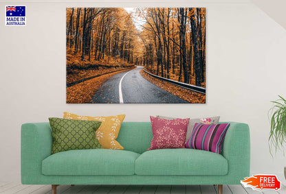 Orange Autumn Trees & Road View Photograph Print 100% Australian Made