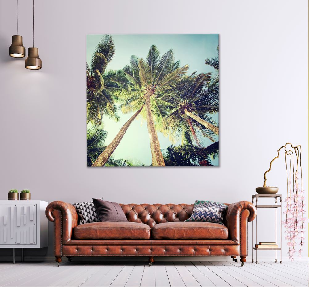 Square Canvas Palm Trees View From Below Photograph High Quality Print 100% Australian Made