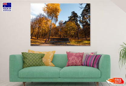 Bench in the Autumn Park View Photograph Print 100% Australian Made