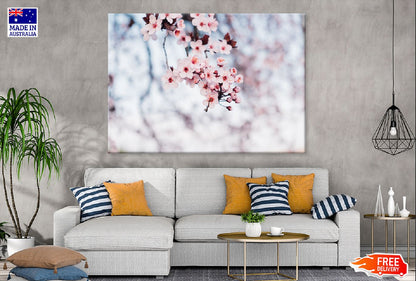 White Pink Blossom Flowers View Photograph Print 100% Australian Made