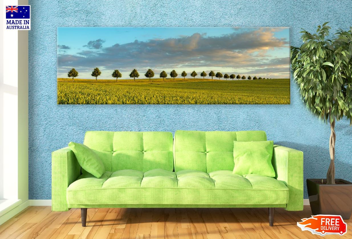 Panoramic Canvas Trees on Wheat Field View Photograph High Quality 100% Australian Made Wall Canvas Print Ready to Hang