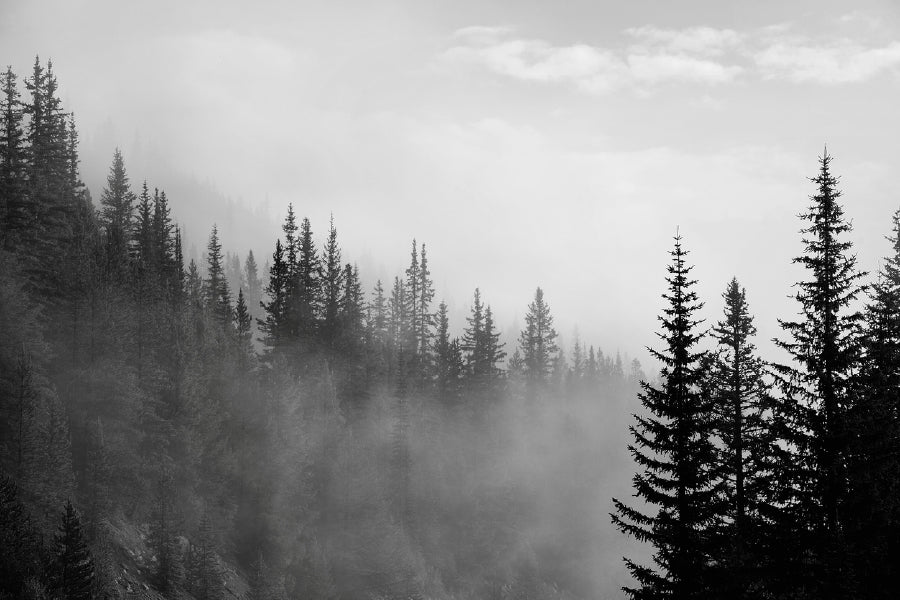 Banff National Park B&W View Photograph Print 100% Australian Made