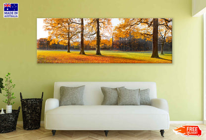 Panoramic Canvas Autumn Trees Field View Photograph High Quality 100% Australian Made Wall Canvas Print Ready to Hang