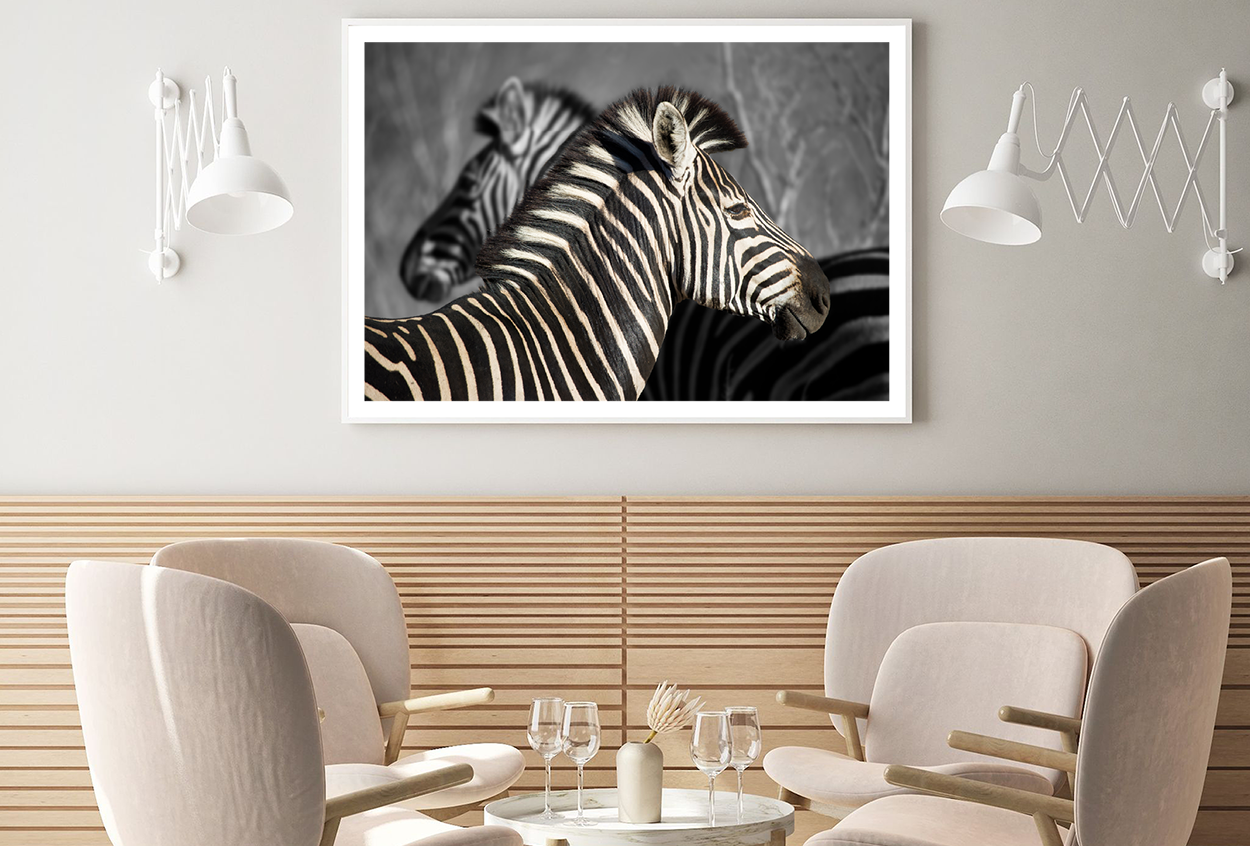 B&W Zebra in Forest View Photograph Home Decor Premium Quality Poster Print Choose Your Sizes