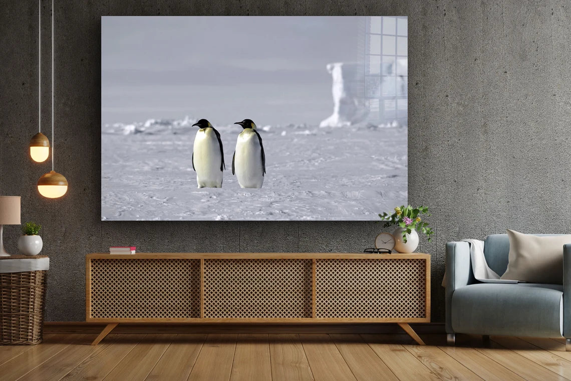 Penguins on Ice Field Print Tempered Glass Wall Art 100% Made in Australia Ready to Hang