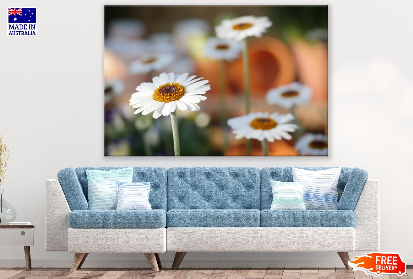 White Daisy Flower Closeup Photograph Print 100% Australian Made