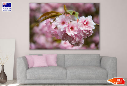 Pink Blossom Flowers Closeup Photograph Print 100% Australian Made