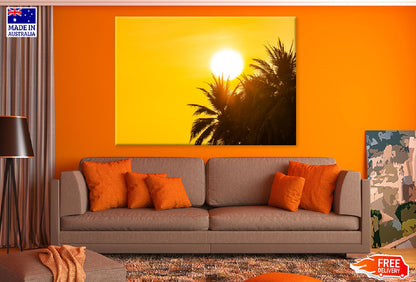 Coconut Palm Trees Sunrise View Photograph Print 100% Australian Made