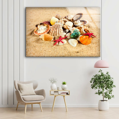 Sea Shells on Sand Photograph Acrylic Glass Print Tempered Glass Wall Art 100% Made in Australia Ready to Hang