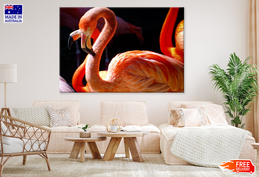 Flamingo Birds Closeup Photograph Print 100% Australian Made