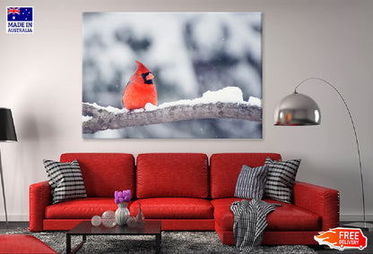 Red Cardinal Bird on Snow Tree Photograph Print 100% Australian Made