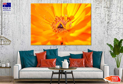 Marigold Flower Closeup View Photograph Print 100% Australian Made