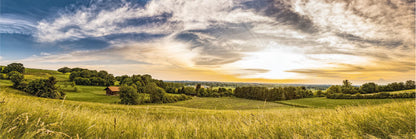 Panoramic Canvas Trees on Grass Field Photograph High Quality 100% Australian Made Wall Canvas Print Ready to Hang
