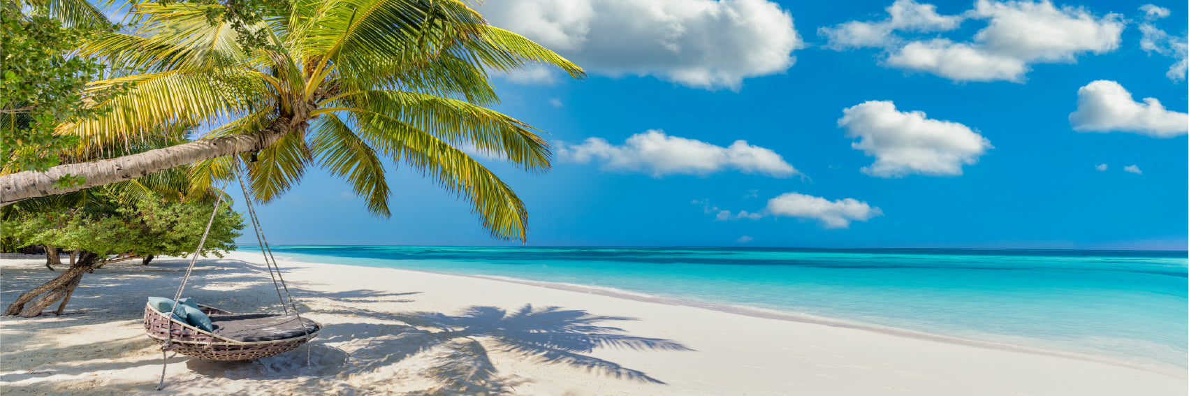 Panoramic Canvas Beach Swing Island View Photographin High Quality 100% Australian Made Wall Canvas Print Ready to Hang