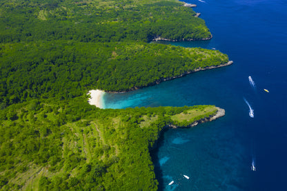 Green Curvy Coast Ocean Aerial View Photograph Home Decor Premium Quality Poster Print Choose Your Sizes
