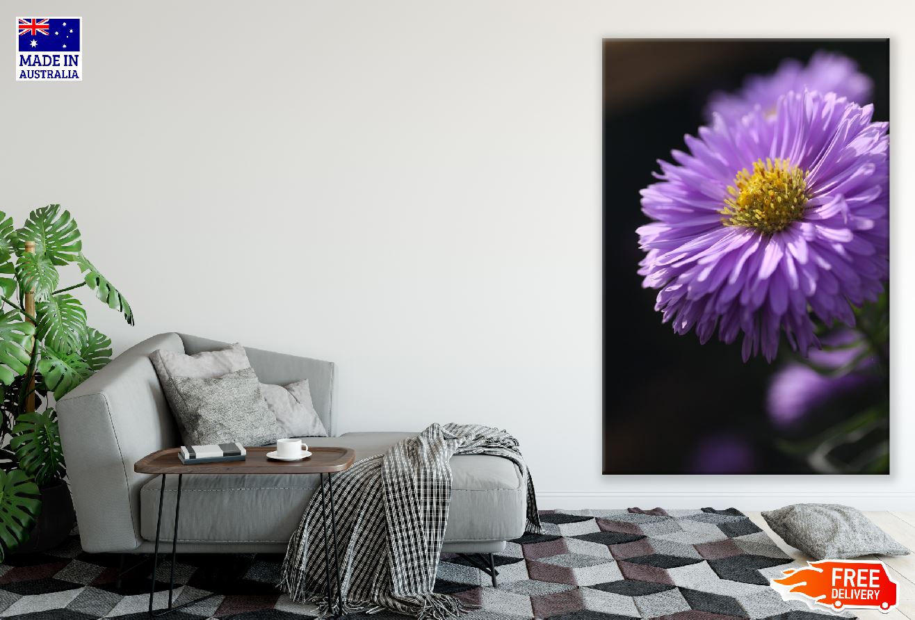Purple Aster Flower Closeup Photograph Print 100% Australian Made