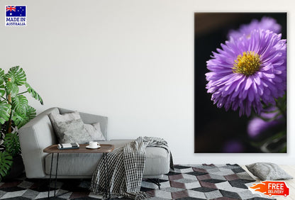 Purple Aster Flower Closeup Photograph Print 100% Australian Made