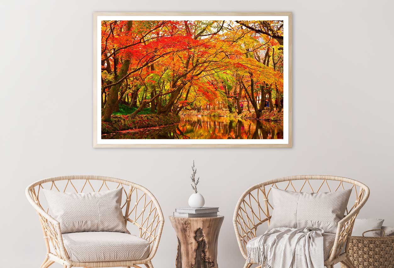 Autumn Trees Covered River View Photograph Home Decor Premium Quality Poster Print Choose Your Sizes