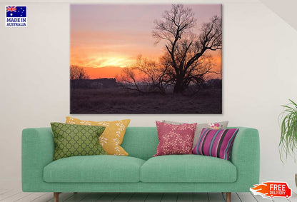 Dry Tree & Sunset Scenery Photograph Print 100% Australian Made