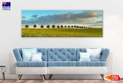 Panoramic Canvas Trees on Wheat Field View Photograph High Quality 100% Australian Made Wall Canvas Print Ready to Hang