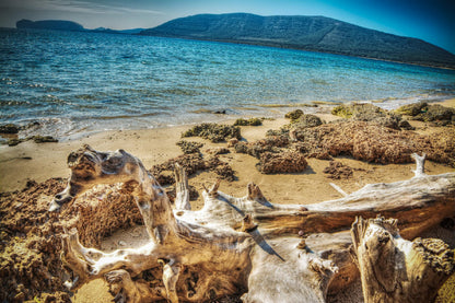 Mugoni Beach Shoreline View Photograph Home Decor Premium Quality Poster Print Choose Your Sizes