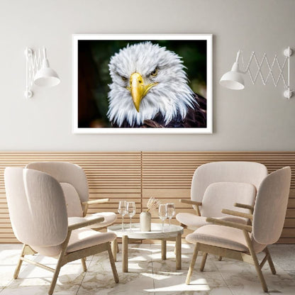 Eagle Face Portrait Photograph Home Decor Premium Quality Poster Print Choose Your Sizes