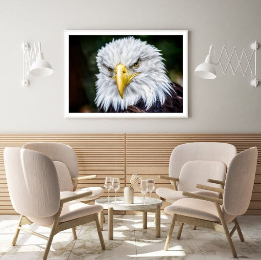 Eagle Face Portrait Photograph Home Decor Premium Quality Poster Print Choose Your Sizes