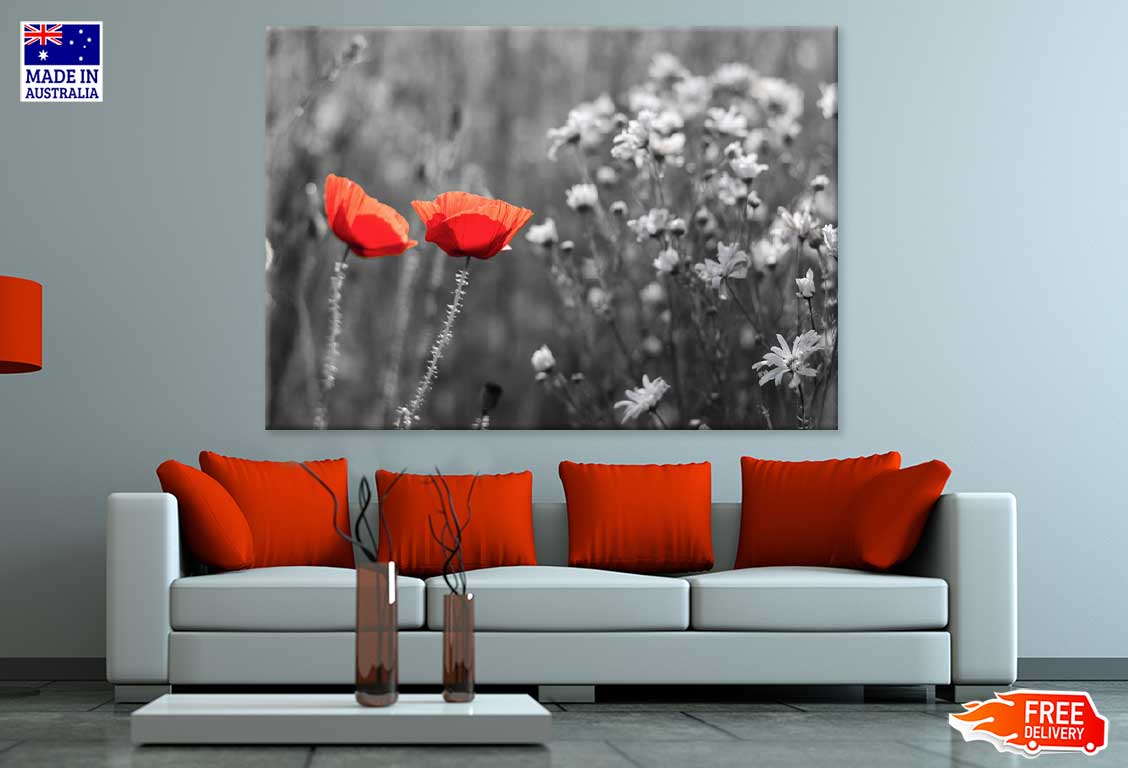 Red Poppy Flowers B&W Photograph Print 100% Australian Made