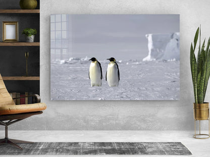 Penguins on Ice Field Print Tempered Glass Wall Art 100% Made in Australia Ready to Hang