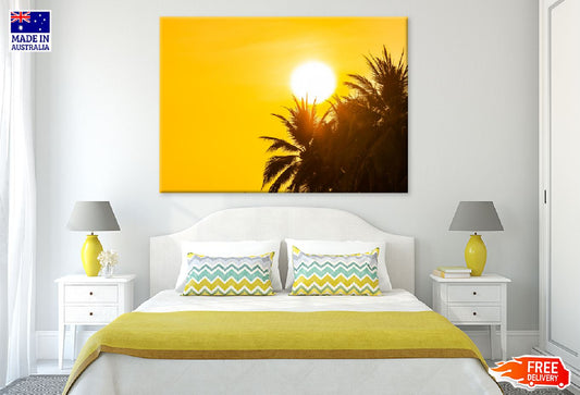 Coconut Palm Trees Sunrise View Photograph Print 100% Australian Made