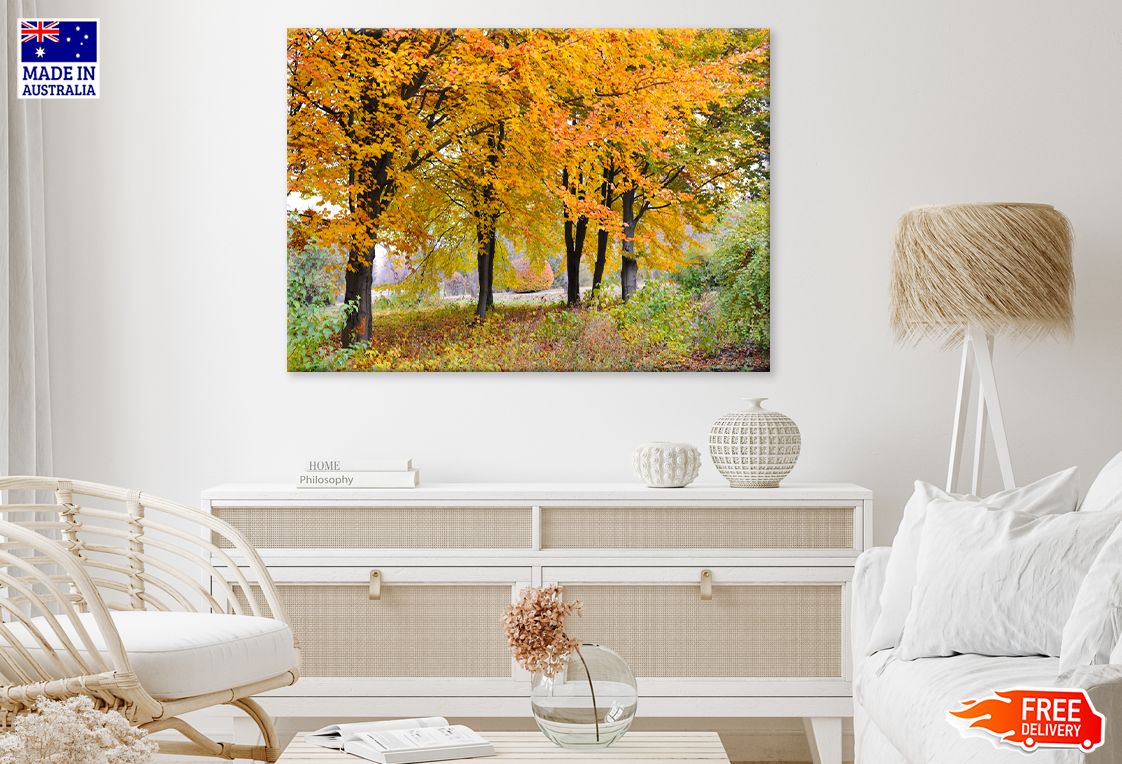 Autumn Trees & Road View Print 100% Australian Made