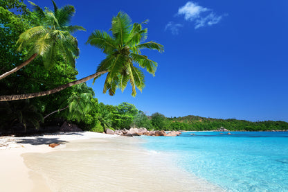 Anse Lazio Beach Praslin Island Photograph Print 100% Australian Made