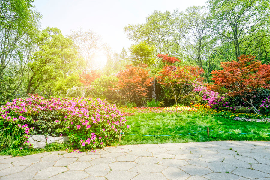 Autumn Garden Footpathway View Photograph Print 100% Australian Made