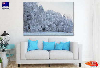 Snow Covered Forest Photograph Print 100% Australian Made