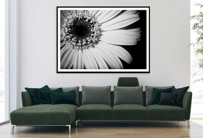 Sunflower Closeup B&W View Photograph Home Decor Premium Quality Poster Print Choose Your Sizes