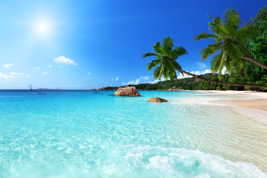 Anse Lazio Beach Praslin Island View Photograph Print 100% Australian Made