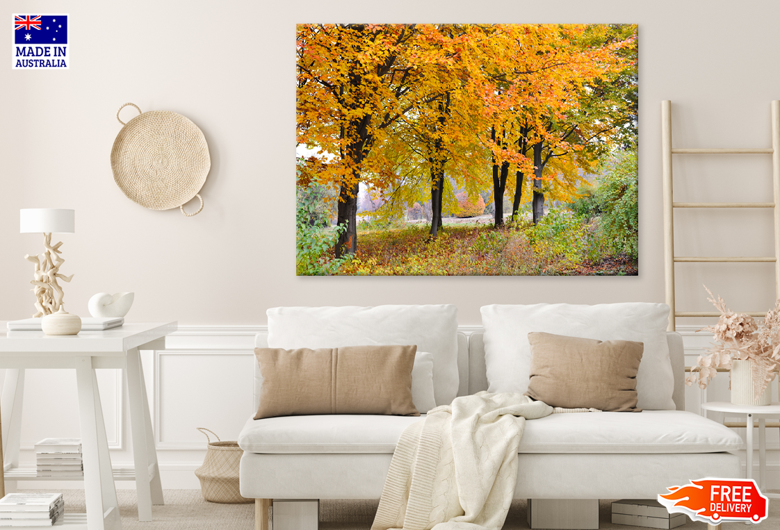 Autumn Trees & Road View Print 100% Australian Made
