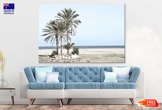 Palm Trees at Sea Shore Scenery Photograph Print 100% Australian Made