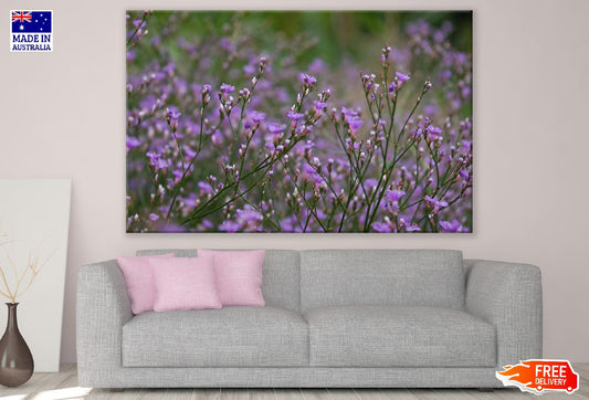 Beach Lavender Flowers Photograph Print 100% Australian Made