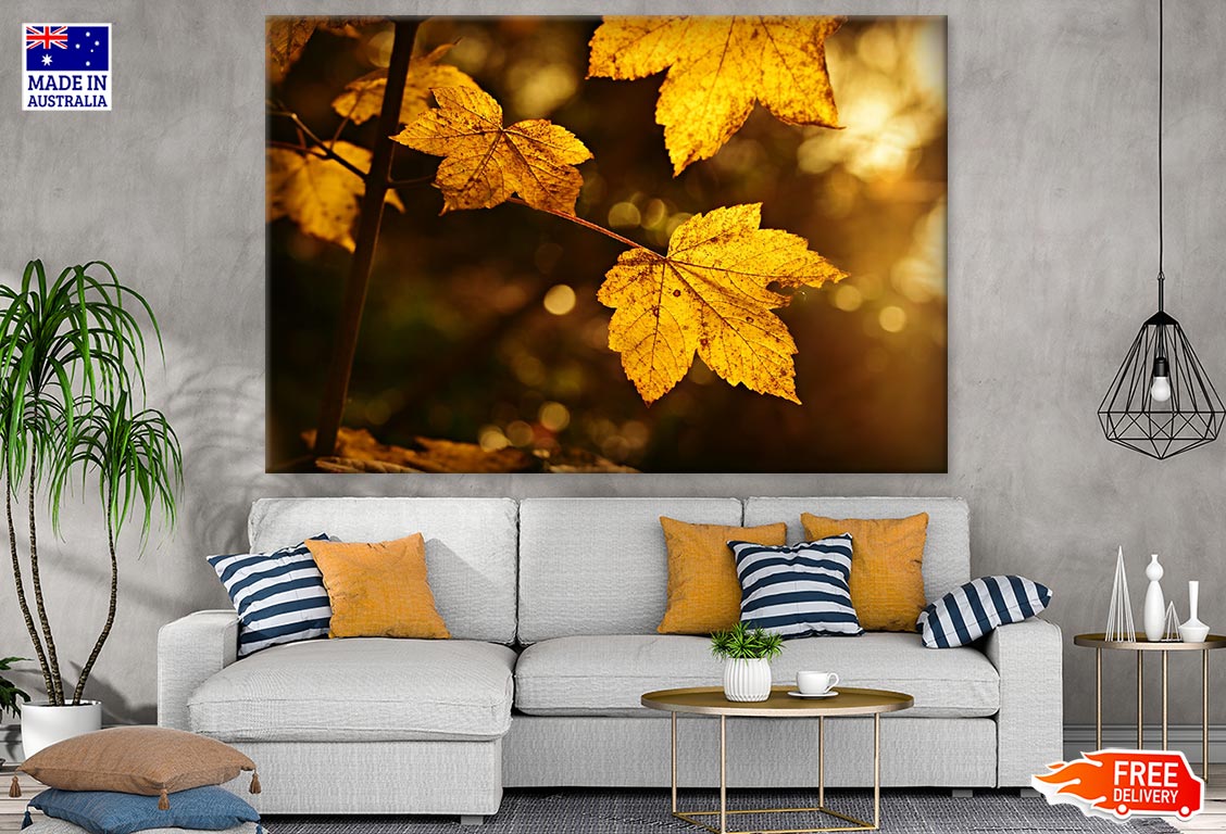 Yellow Leaves Closeup Photograph Print 100% Australian Made