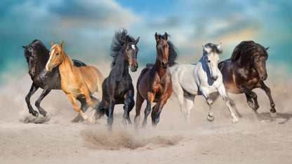Horses Running on Sand Photograph Home Decor Premium Quality Poster Print Choose Your Sizes