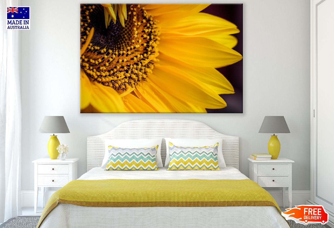 Sunflower Closeup Macro Photograph Print 100% Australian Made