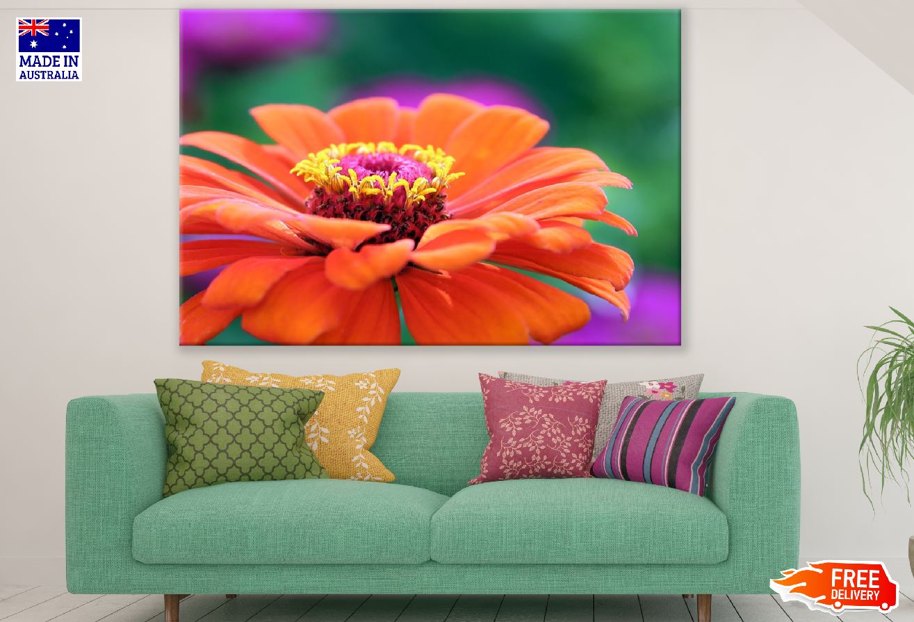 Orange Zinnia Flower Closeup Photograph Print 100% Australian Made