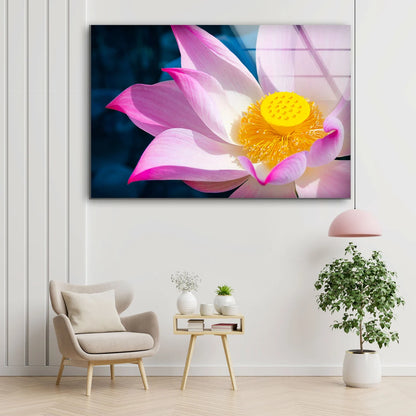 Lotus Flower Closeup Photograph Acrylic Glass Print Tempered Glass Wall Art 100% Made in Australia Ready to Hang