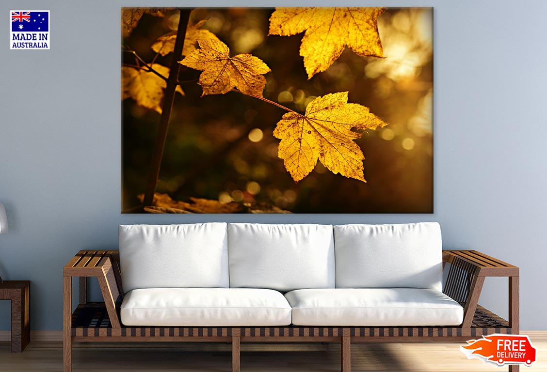 Yellow Leaves Closeup Photograph Print 100% Australian Made