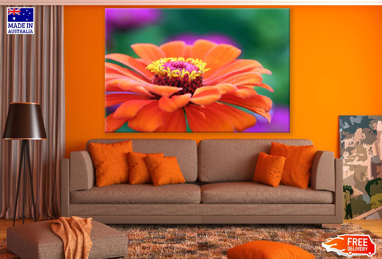 Orange Zinnia Flower Closeup Photograph Print 100% Australian Made